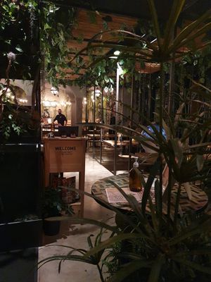 Inside at Nooch - Badenerstrasse in Zurich