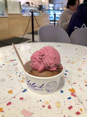  at Yelo'd Ice Cream & Bake Shoppe in Edmonton