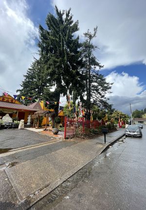   at  Van Nien Vegan Baguette Food Coffee Tea in Portland