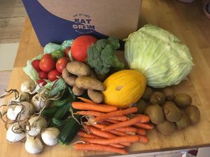 Big & Beastly, week #41/20 (total content, price 195 DKR + sign-up fee) at GRIM  in Copenhagen