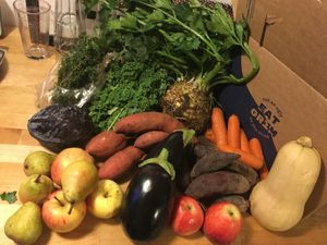 Big & Beastly, week #43/20 (total content, price 195 DKR + sign-up fee) at GRIM  in Copenhagen