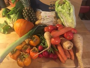 Big & Beastly, week #45/20 (total content, price 195 DKR + sign-up fee) at GRIM  in Copenhagen