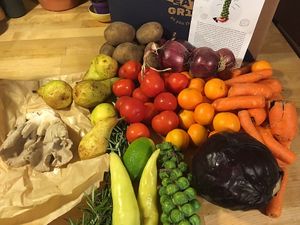 Big & Beastly, week #46/20 (total content, price 195 DKR + sign-up fee) at GRIM  in Copenhagen