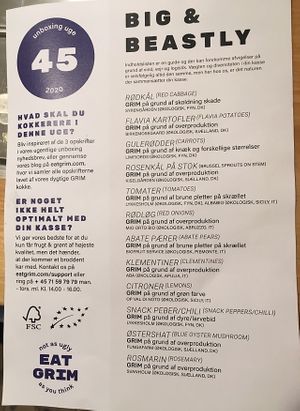 Big & Beastly, week #46/20 (packing list) [don’t know why the list says 45] at GRIM  in Copenhagen