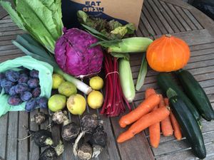 Big & Beastly, week #38/20 (total content, price 195 DKR + sign-up fee) at GRIM  in Copenhagen