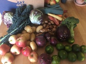 Big & Beastly, week #39/20 (total content, price 195 DKR + sign-up fee) at GRIM  in Copenhagen