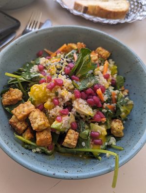  at MUS Cafe in Salzburg