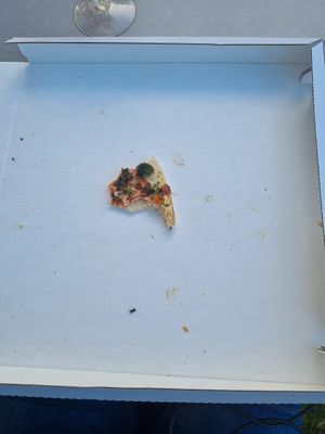 Hij was zo lekker dat ik bijna te laat was om een foto te nemen 😉 at Ballum Camping in Bredebro