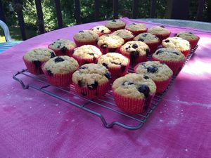 Blueberry muffins at The Rising Firefly Bakery in Ithaca