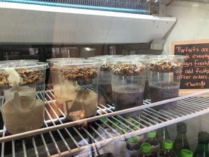 Chia breakfast pudding. at Squally's Cafe in Las Vegas