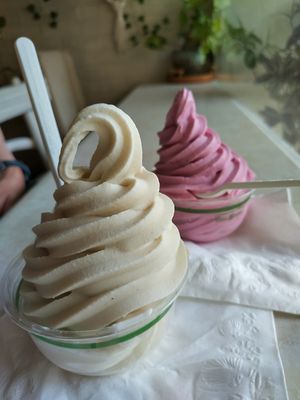 Macadamia-vanilla and macadamia-dragonfruit-strawberry ice cream in a cup ($9.50 each) at Sweet Journey Soft Serve in Kailua Kona