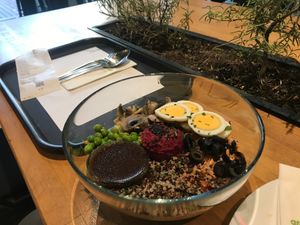 happy vegetarian bowl at Green & Protein in Tirana