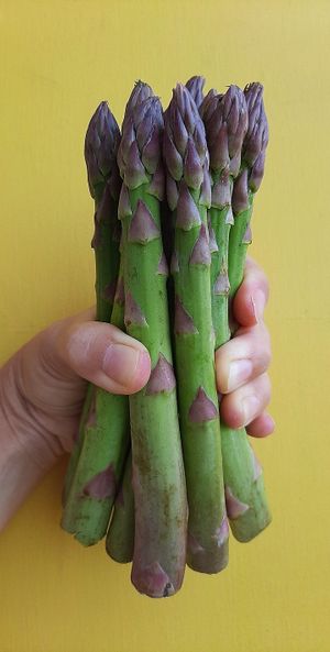 Espárragos

Los favoritos de la cocinera :) at La Suculenta in Guayaquil