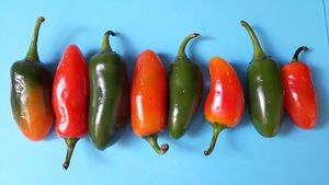 Jalapenos at La Suculenta in Guayaquil