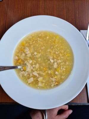  at The Orchid Vegan Restaurant in York