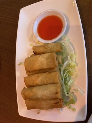 Starters mini spring rolls   at The Orchid Vegan Restaurant in York