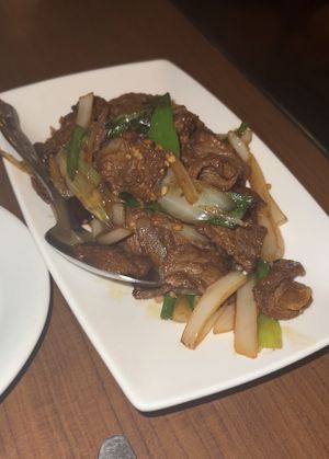   at The Orchid Vegan Restaurant in York