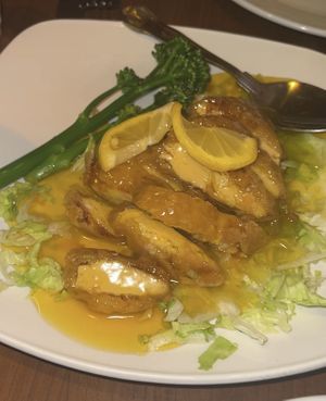   at The Orchid Vegan Restaurant in York