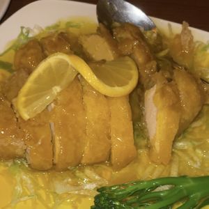   at The Orchid Vegan Restaurant in York