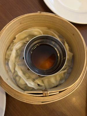 Steamed gyoza  at The Orchid Vegan Restaurant in York