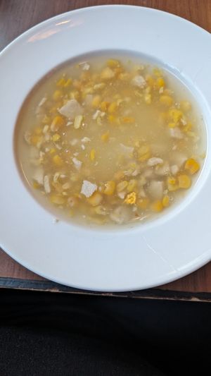  at The Orchid Vegan Restaurant in York