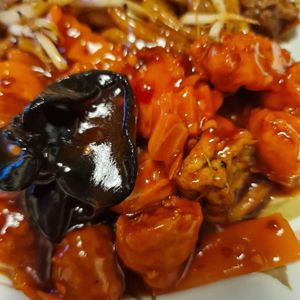  at The Orchid Vegan Restaurant in York