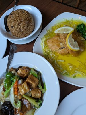 Lemon chicken, mushroom rice and tofu / veggie stir fry at The Orchid Vegan Restaurant in York