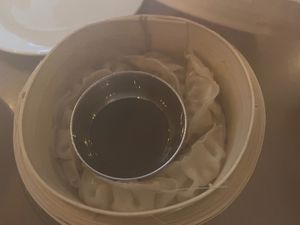 Dumplings at The Orchid Vegan Restaurant in York