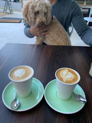 Oatly Latte  at Nourish in Kangaroo Point