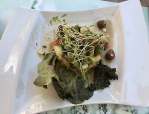 The starter  at Le Jardin de Suzan in Cahors