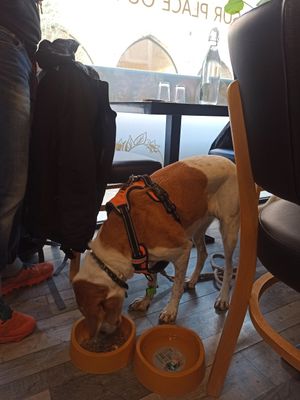  at Le Jardin de Suzan in Cahors