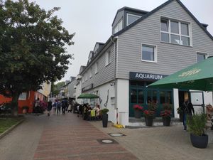 Aquarium Café at Aquarium Cafe in Heligoland