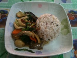 Rice with stir-fried mushrooms and some veggies at Samrup Jay in Ayutthaya
