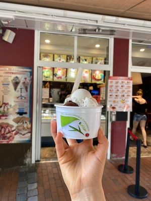 Banane und Bitterschokolade 🤩🌱 (Waffel ist  nicht vegan)   at Eis Café Veneto in Eckernfoerde