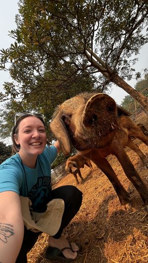   at Pete's Mission Animal Rescue Shelter in Pai