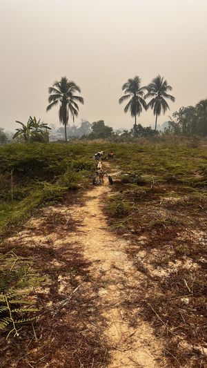   at Pete's Mission Animal Rescue Shelter in Pai