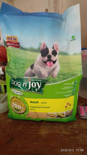Thai brand vegan dog food at Pete's Mission Animal Rescue Shelter in Pai