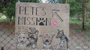 Entrance sign at Pete's Mission Animal Rescue Shelter in Pai