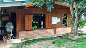 Main building at Pete's Mission Animal Rescue Shelter in Pai
