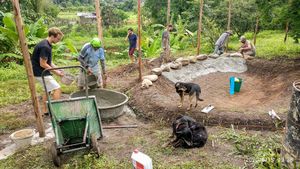 Production line at Pete's Mission Animal Rescue Shelter in Pai