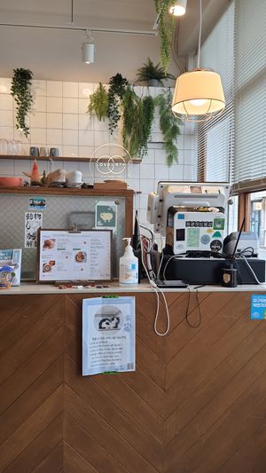 view towards the counter at LoveUrth 러브얼스 in Busan
