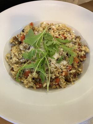 Veggie risotto w vegan parmesan  at Pizzeria Primavera in Bratislava