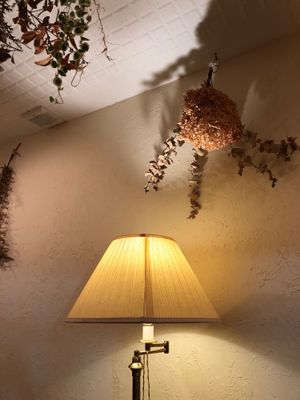 Interior  at Meu Nota in Tokyo