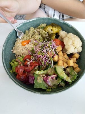 Salad with quinoa, tofu, avocado and (pickled) veggies at Kisiel in Szczecin