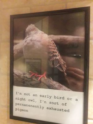 In the WC at Kisiel in Szczecin