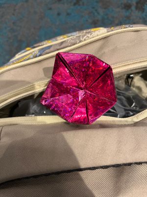 Some complementary origami with our meal  at La Chia Vegana  in Lake Worth