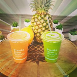 Island Breeze & Tropical Green at La Chia Vegana  in Lake Worth