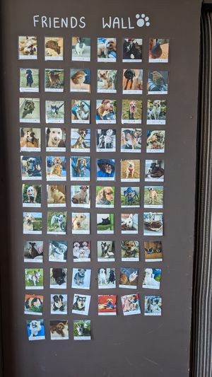  at Seitan Hustle in Fleetwood