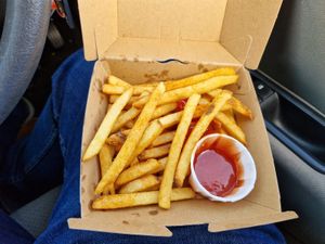 Portion of base fries at Seitan Hustle in Fleetwood