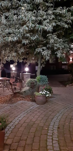 Aussenbereich 1 at Waldhotel zum Bergsee in Damme